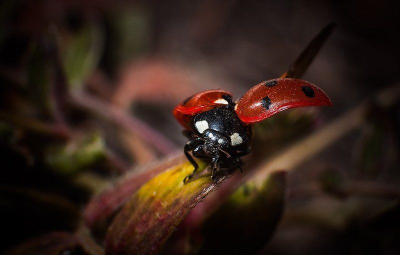 Разминка...photo preview