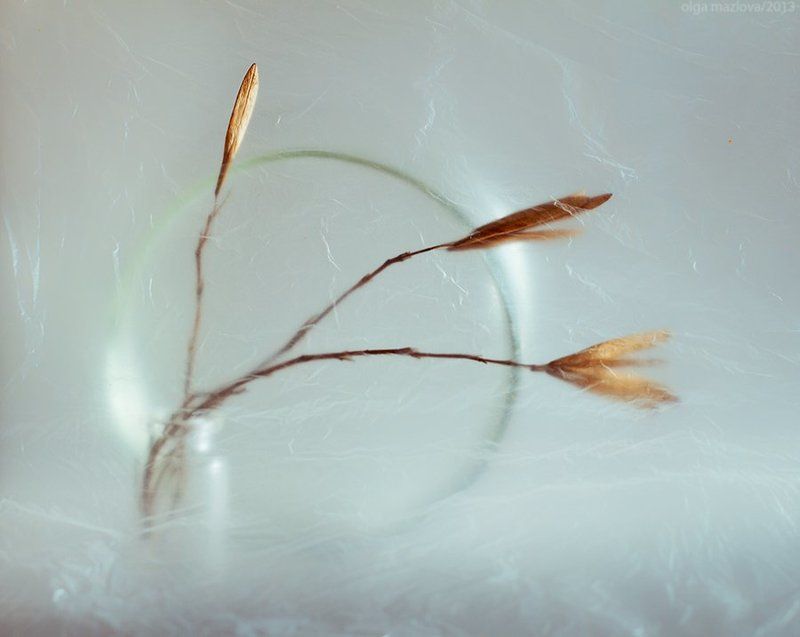 ... фото превью