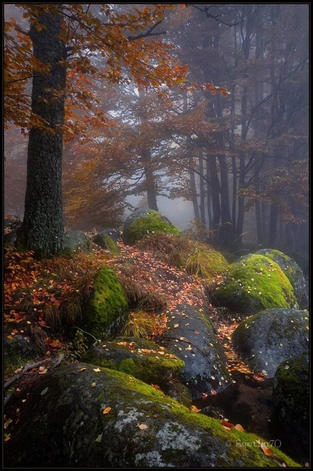 Автор: Svetoslav Georgiev bulgaria, Svetoslav Georgiev