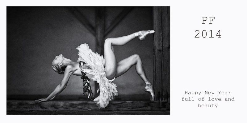 PF 2014photo preview