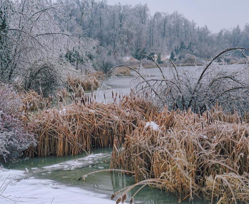 Ice Stormphoto preview