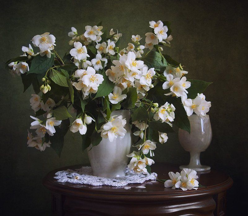 натюрморт Аромат жасминаphoto preview