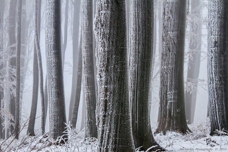 The Essence Between Us (Part.IV.)photo preview