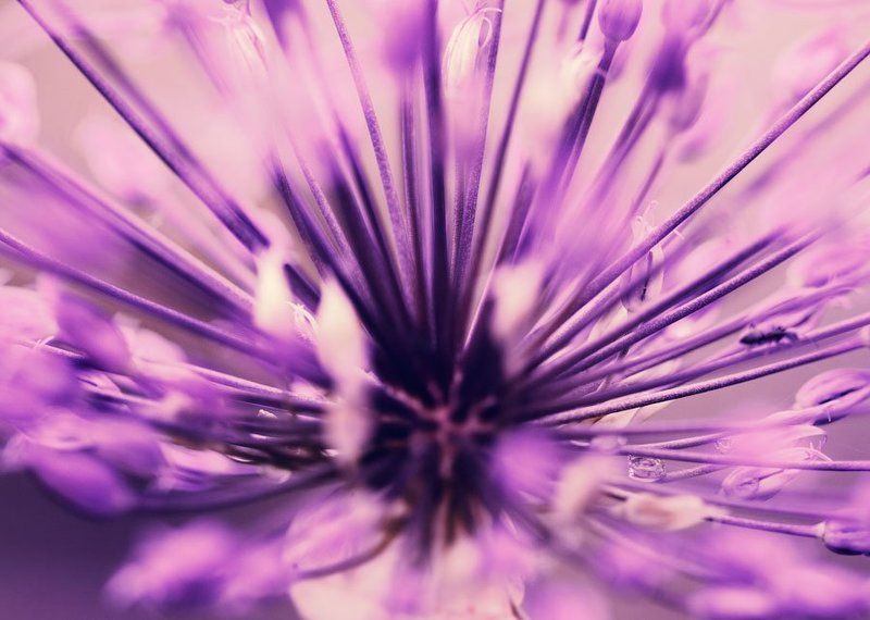 космосphoto preview