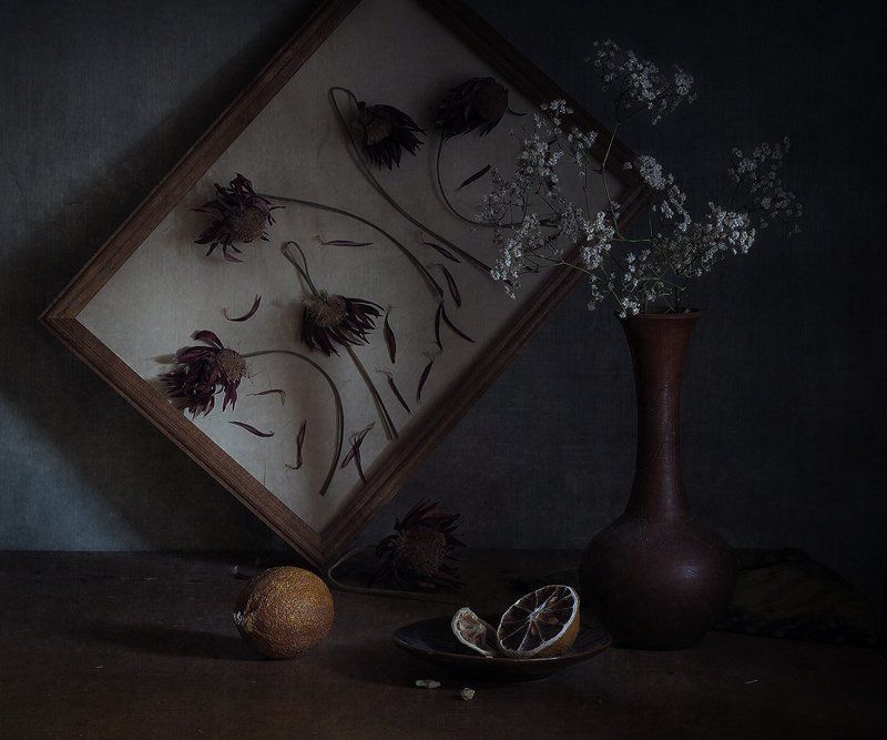 Лимон иссохший, Натюрморт, Сухие цветы Забвениеphoto preview