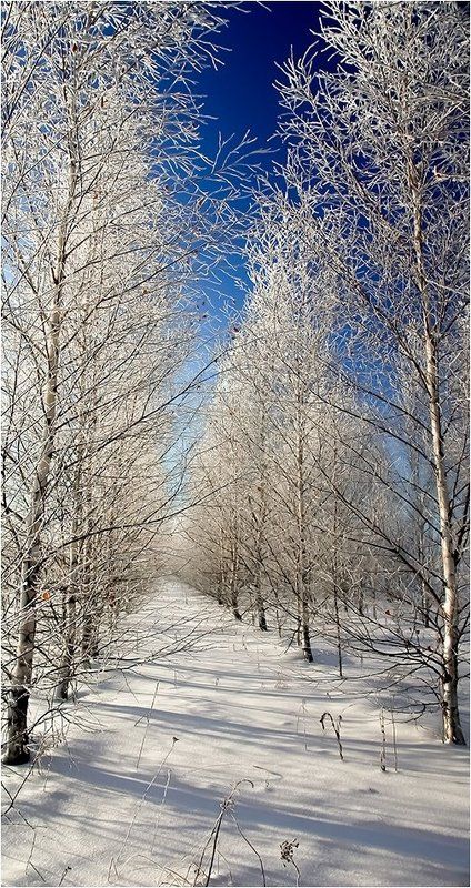 Уходит год очередной...photo preview