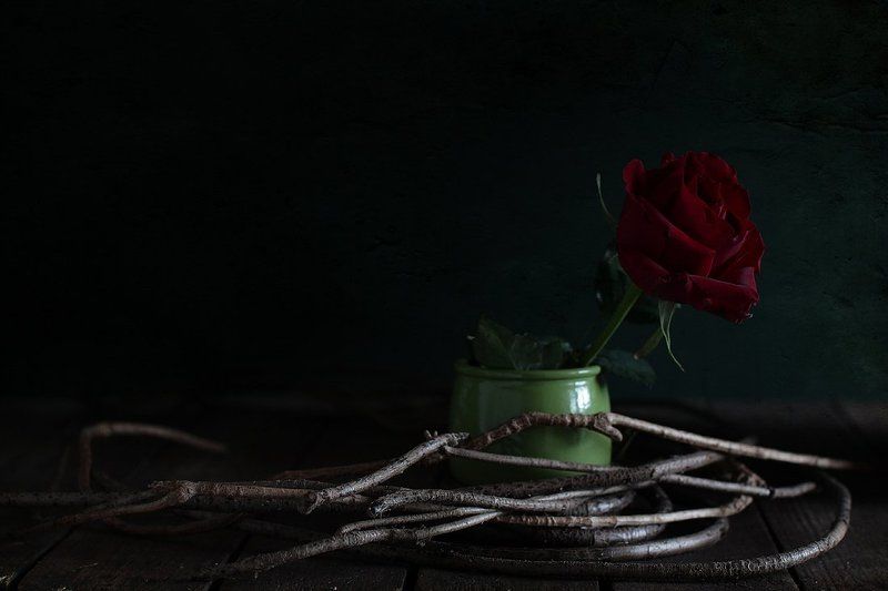 натюрморт Белый светphoto preview