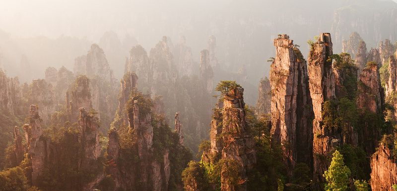 Pandora risingphoto preview