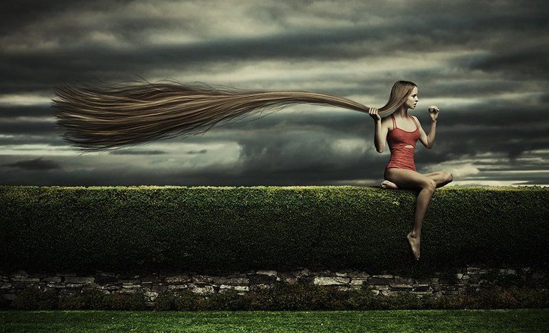 gone with the windphoto preview