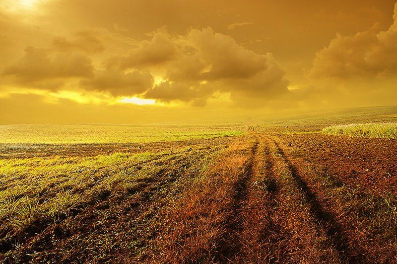 Дорогой длинноюphoto preview