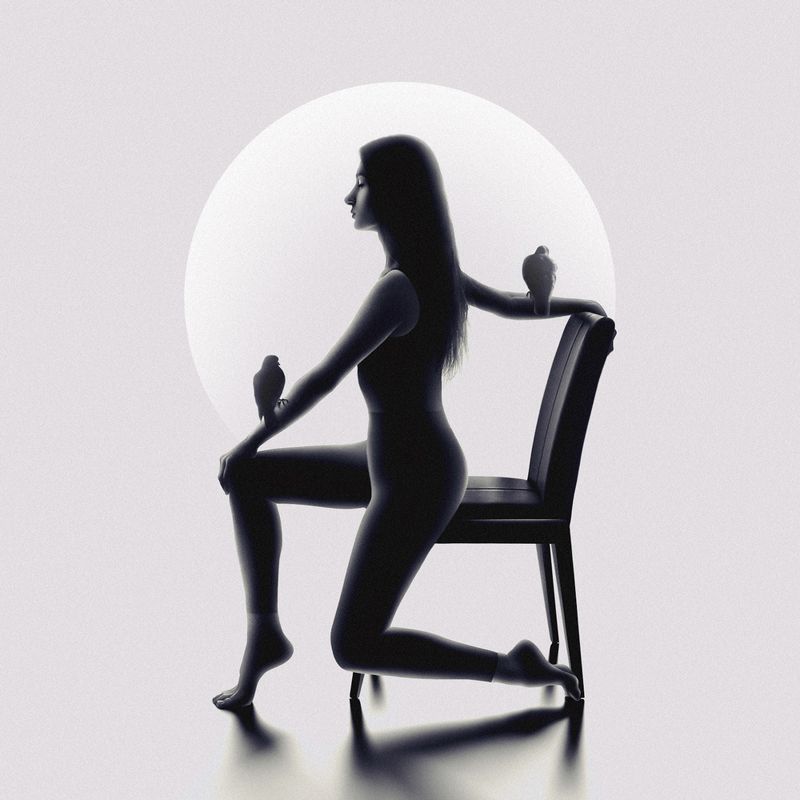 silhouette, dark, light, fine art, art, pigeon, peace, inner peace, surreal, minimalism, balance Peace of Mindphoto preview