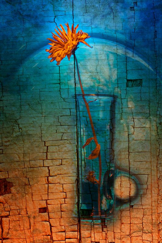 color, colors, color image, digital, editing, photography, still life, Fragilephoto preview