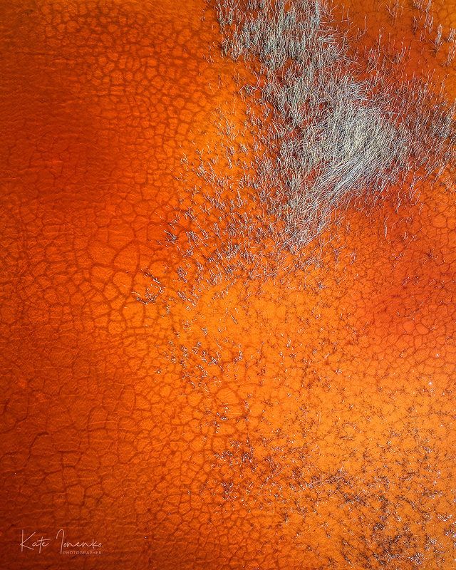 Кожа землиphoto preview