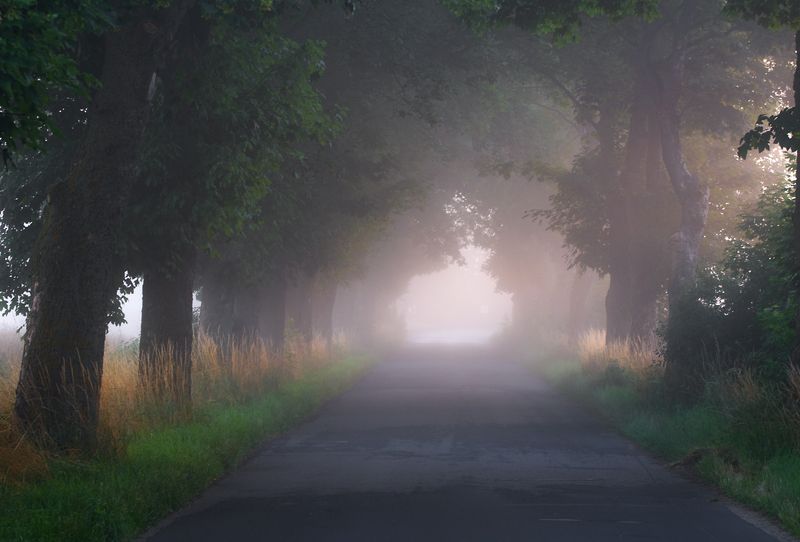 way home....photo preview