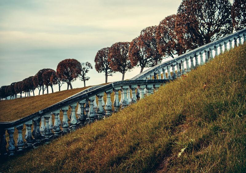 дерево, деревья, диагональ, лестница, парк, трава диагональphoto preview