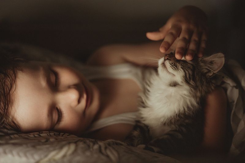 Новый член семьиphoto preview