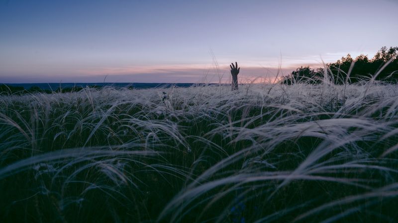 Что тамphoto preview