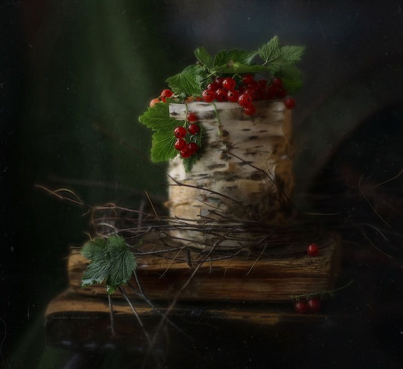 такой день*photo preview