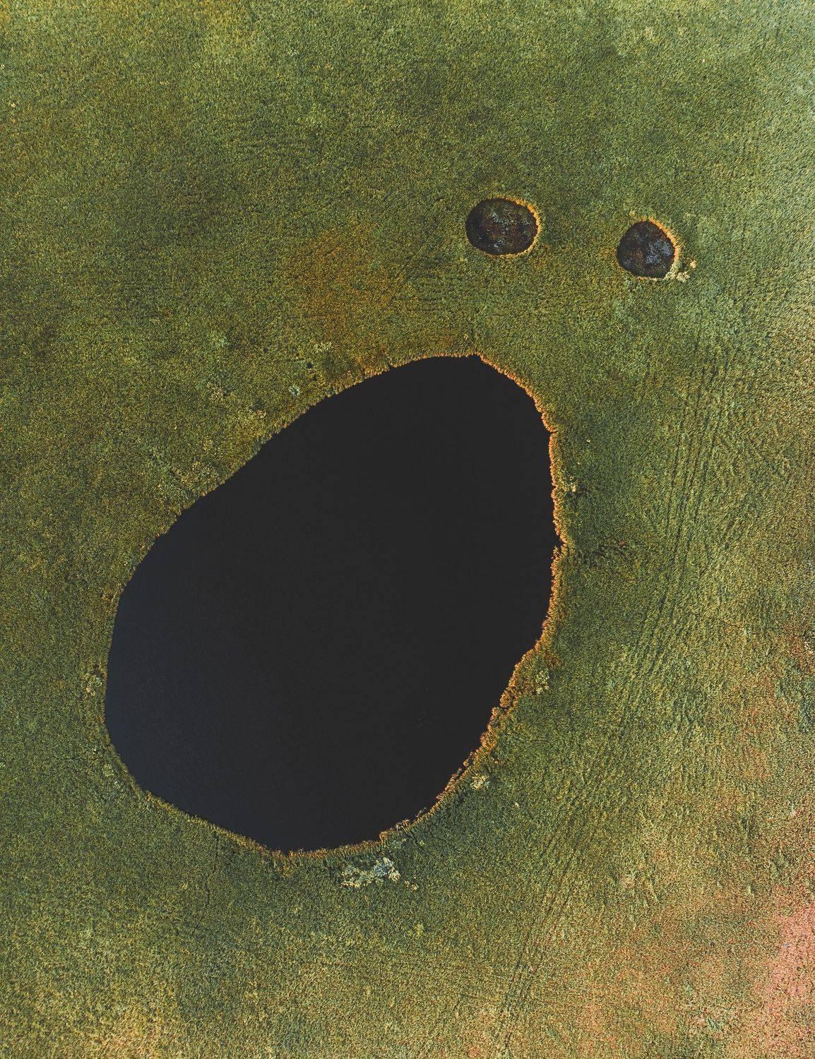 Screaming swamp. Автор: Andrey Raspopov , Andrey Raspopov