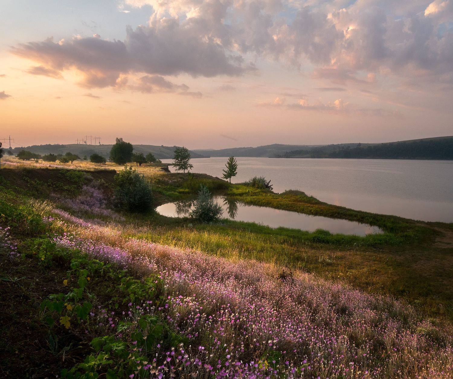 #ProLake. Автор: Дитковский Евгений , Дитковский Евгений