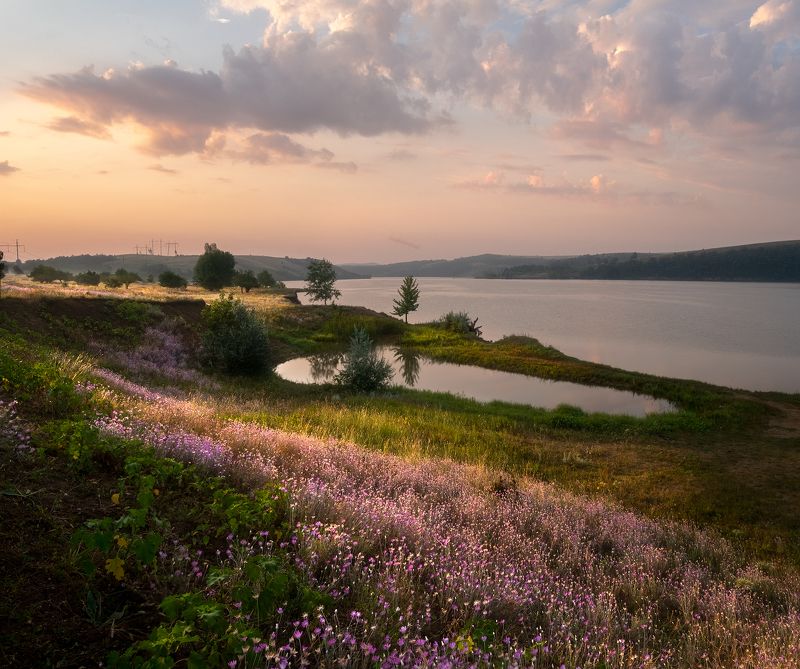 #ProLakephoto preview