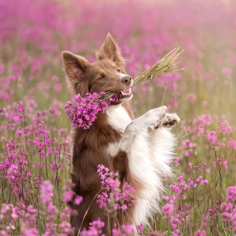 #nikon лето, ты прекрасно!photo preview