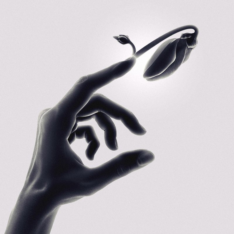 hope Hopephoto preview