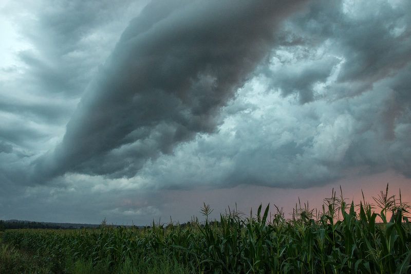 Облачность кукурузного поляphoto preview