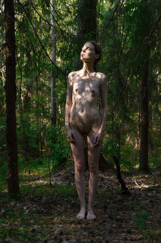 Deep Forestphoto preview