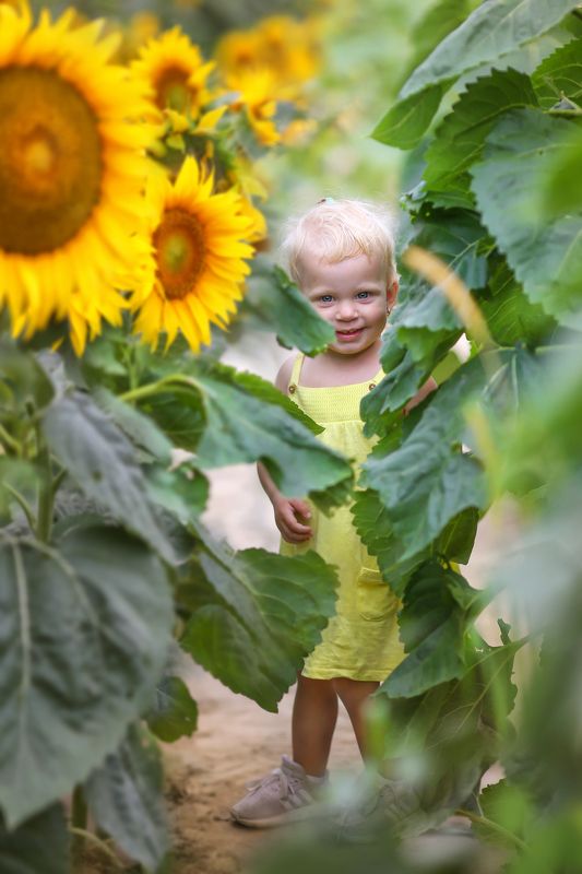 лето,подсолнухи,девочка в поле,светить как солнце,летние зарисовки,ирина горюкина Лучик фото превью