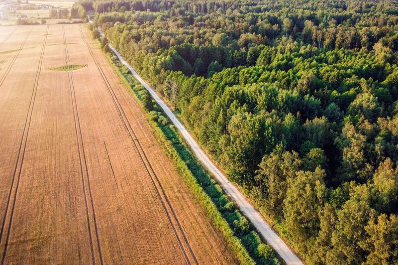 природа, поле, лес, аэрофото, пейзаж Дорога в никудаphoto preview