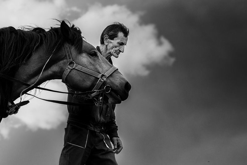 Together foreverphoto preview