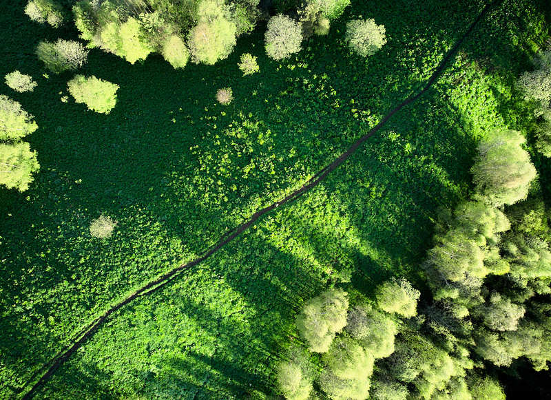 большой тхач, малый тхач, адыгея, пейзаж, берёзы Берёзкиphoto preview