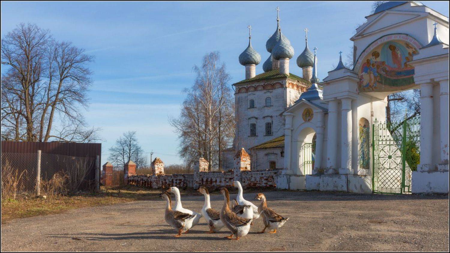 Семеро у ворот. Автор: Александр Марецкий россия, владимирская обл, большие всегодичи, Александр Марецкий