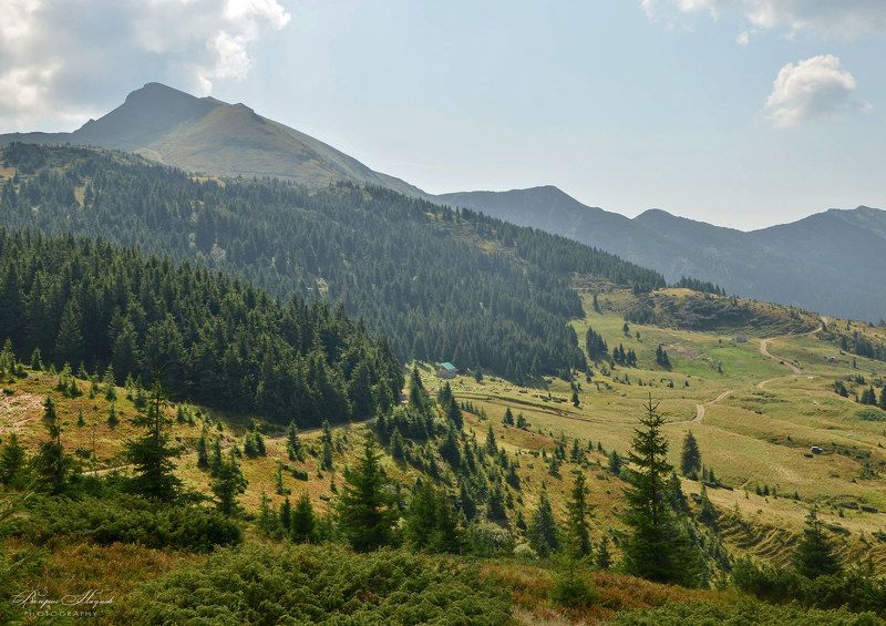 карпаты, мармаросы, гуцульские альпы, лето, полонина лысыча Мармаросыphoto preview