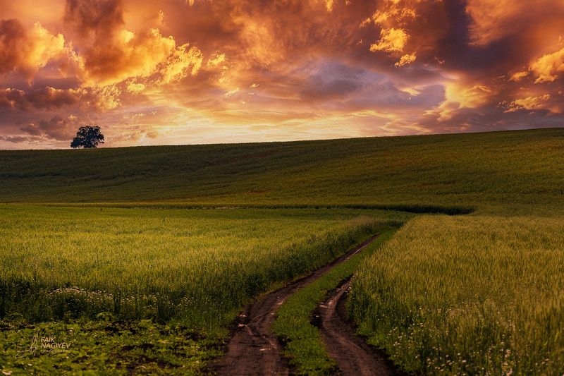 На земле спокойно, на небесах нетphoto preview