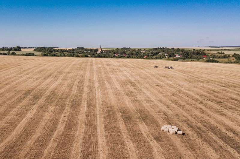 Суздаль, поля, пшеница, дрон Просторы Суздаляphoto preview