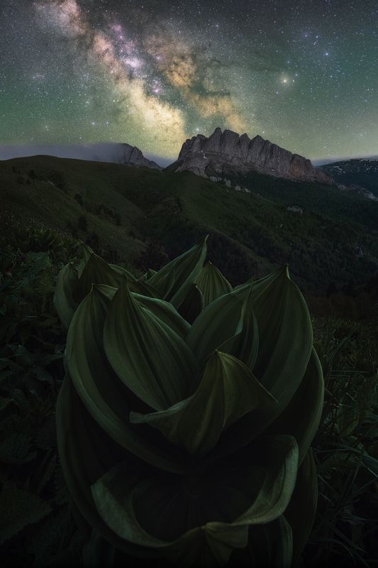 звезды, большой тхач, кавказ, адыгея, весна, чемерица, астро, ночь, milky way, млечный путь, ачешбоки, чертовы ворота Раскрывшись звездному светуphoto preview