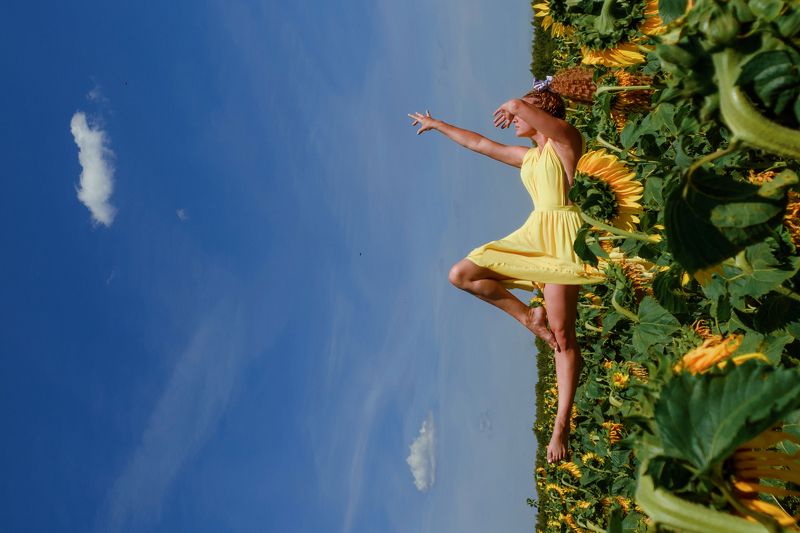 уходящее летоphoto preview