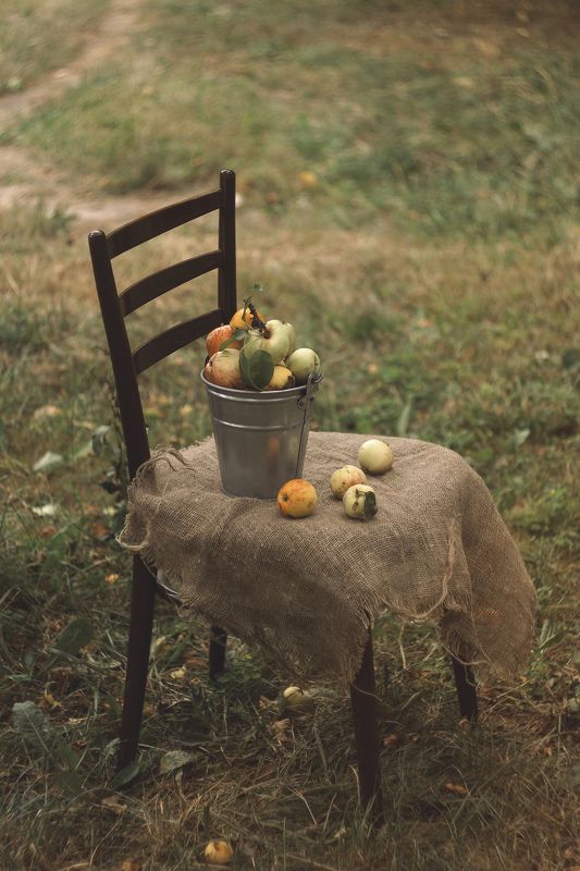 яблоки, лето, август, настроение августовские яблоки фото превью