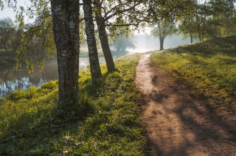 питер, пейзаж, мариентальскийпарк, мариенталь,  павловск, рассвет, бип, царскоесело, царское, landscape, tsarskoyeselo, городской пейзаж, санкт-петербург Летним утром. . .photo preview