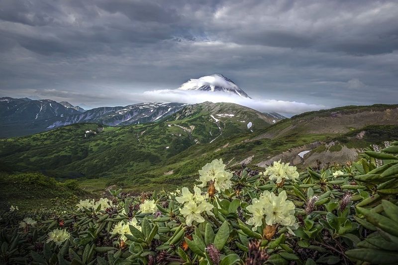 Вилючинский вулкан. Камчаткаphoto preview
