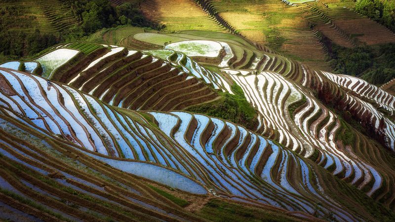 пейзаж, китай, рисовые террасы, landscape, china, mountains, rice terrace, 龙脊梯田 Рисовые террасы \
