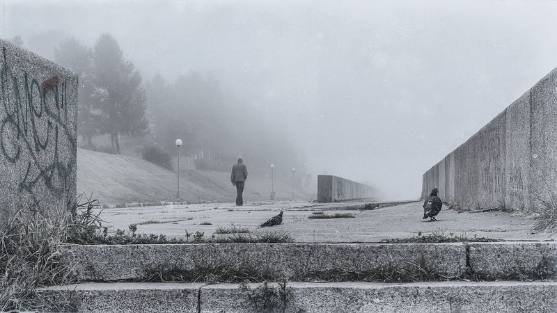 утро туман набережная Неслышным шагом уходя в туман...photo preview