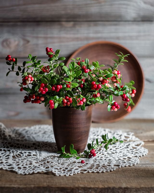 натюрморт брусника ягоды фотонатюрморт букет Брусничкаphoto preview