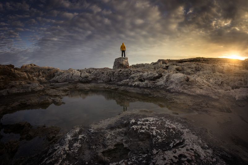Man and sea photo preview