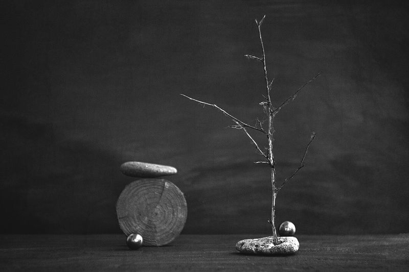натюрморт, минимализм, черно-белый натюрморт, фантастика, философия из серии Другие Миры фото превью