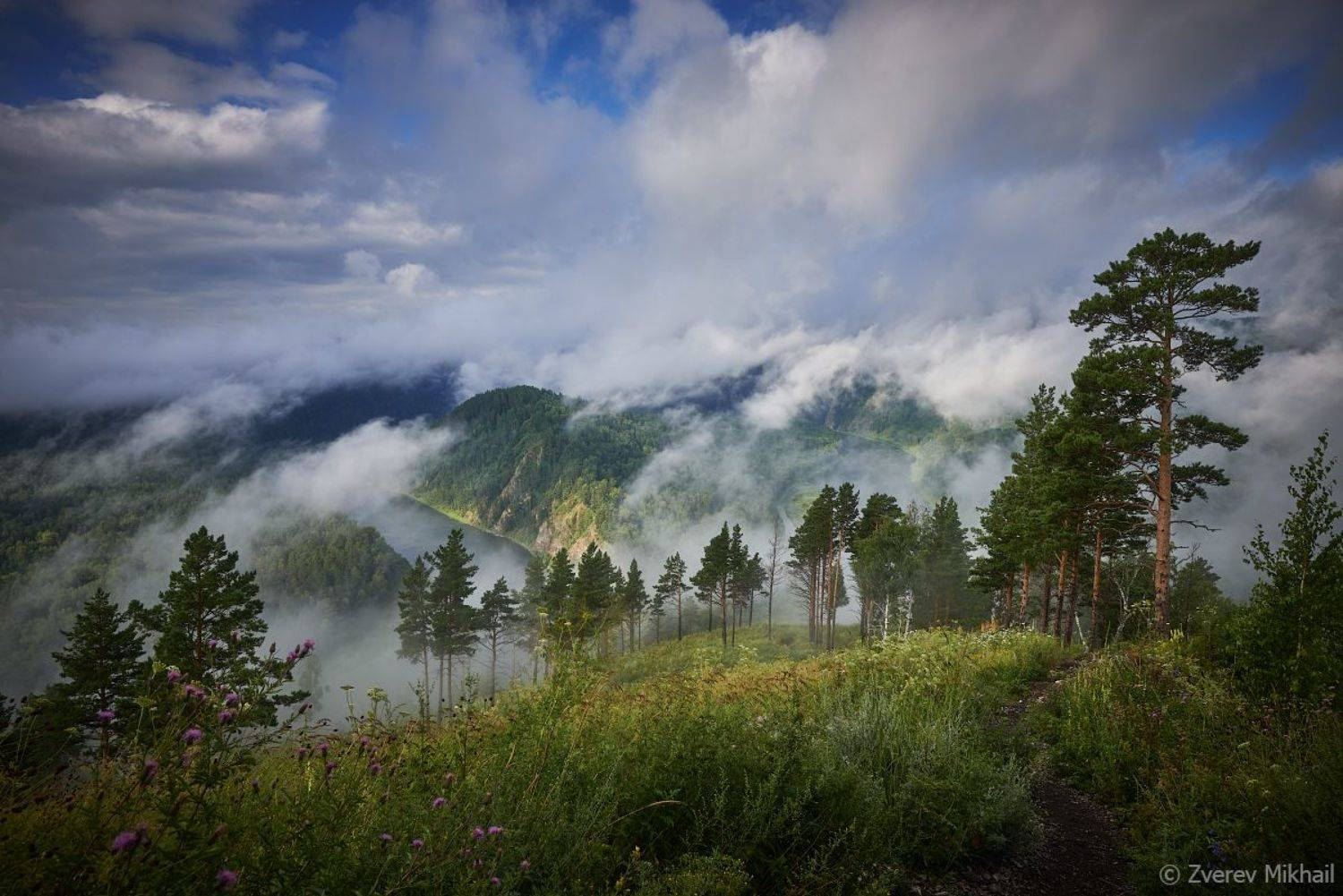 , Михаил Зверев