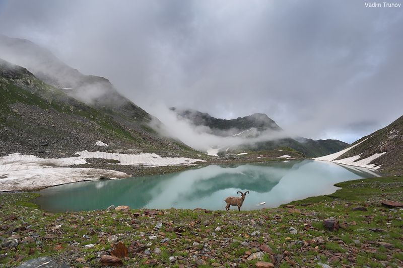 кавказ, кчр,  зелёные озёра Турье озероphoto preview