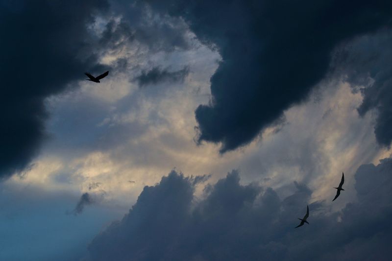 Вечерний эскортphoto preview